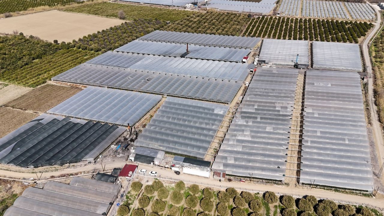 Zirai Don Gülü De Vurdu - Sayfa 2