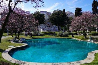 Ihlamur Kasırları’nda Baharın Müjdecisi Manolya Ağaçları Çiçek Açtı - Sayfa 2