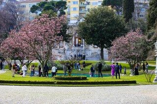Ihlamur Kasırları’nda Baharın Müjdecisi Manolya Ağaçları Çiçek Açtı - Sayfa 3