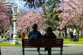 Ihlamur Kasırları’nda Baharın Müjdecisi Manolya Ağaçları Çiçek Açtı - Sayfa 4