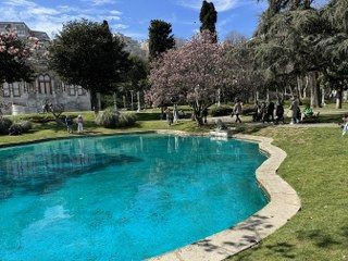 Ihlamur Kasırları’nda Baharın Müjdecisi Manolya Ağaçları Çiçek Açtı - Sayfa 6