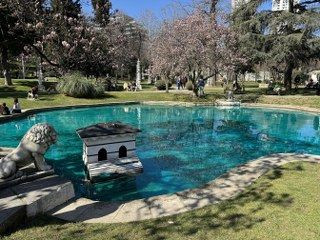 Ihlamur Kasırları’nda Baharın Müjdecisi Manolya Ağaçları Çiçek Açtı - Sayfa 7