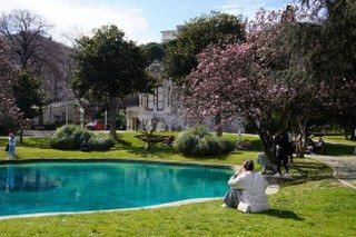 Ihlamur Kasırları’nda Baharın Müjdecisi Manolya Ağaçları Çiçek Açtı - Sayfa 9