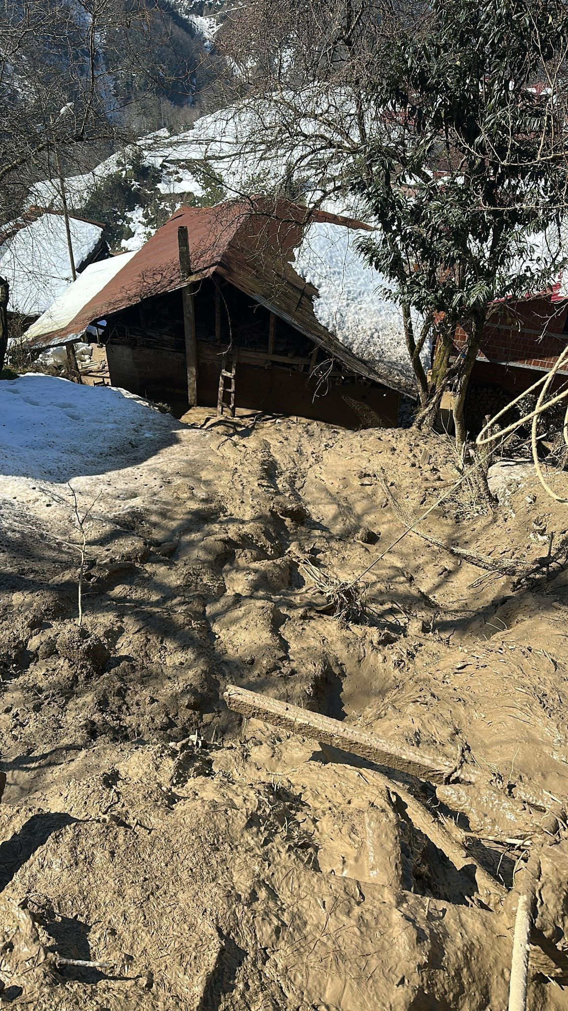 Rize’de Heyelan: 4 Ev Tahliye Edildi - Sayfa 5