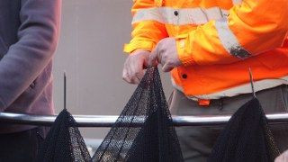 Hamsi Bitti, Tekneler Erken "Paydos" Etti - Sayfa 8