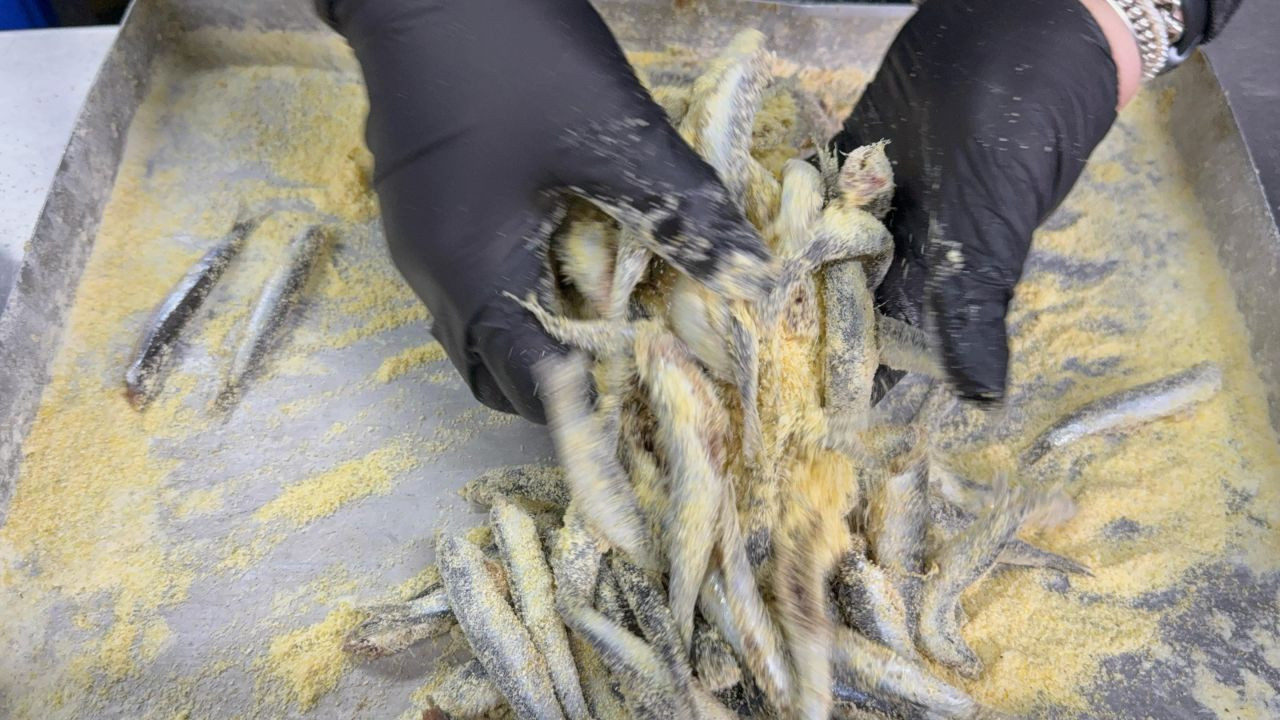 Hamsinin Lezzeti Arttı: Ustasından Pişirme Tüyoları - Sayfa 2