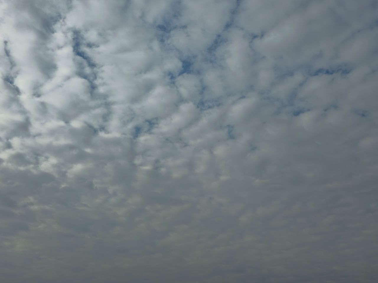 Elazığ Semalarında Görsel Şölen! Sirrokümülüs Bulutları Büyüledi - Sayfa 4