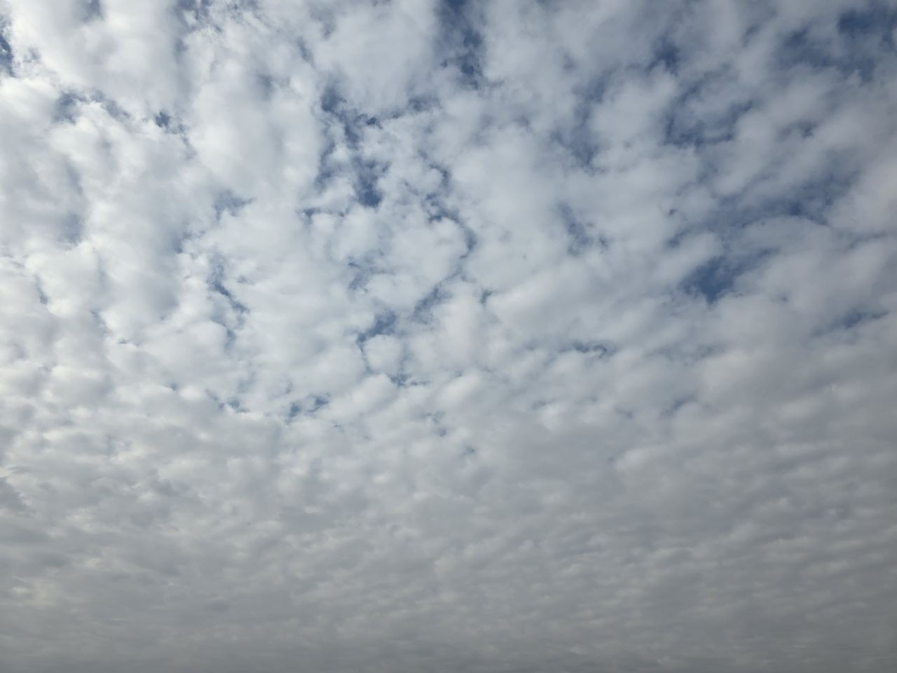 Elazığ Semalarında Görsel Şölen! Sirrokümülüs Bulutları Büyüledi - Sayfa 2