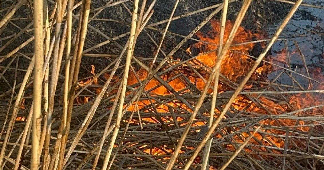 Kütahya Tavşanlı’da Otluk Alanda Yangın Paniği - Sayfa 1