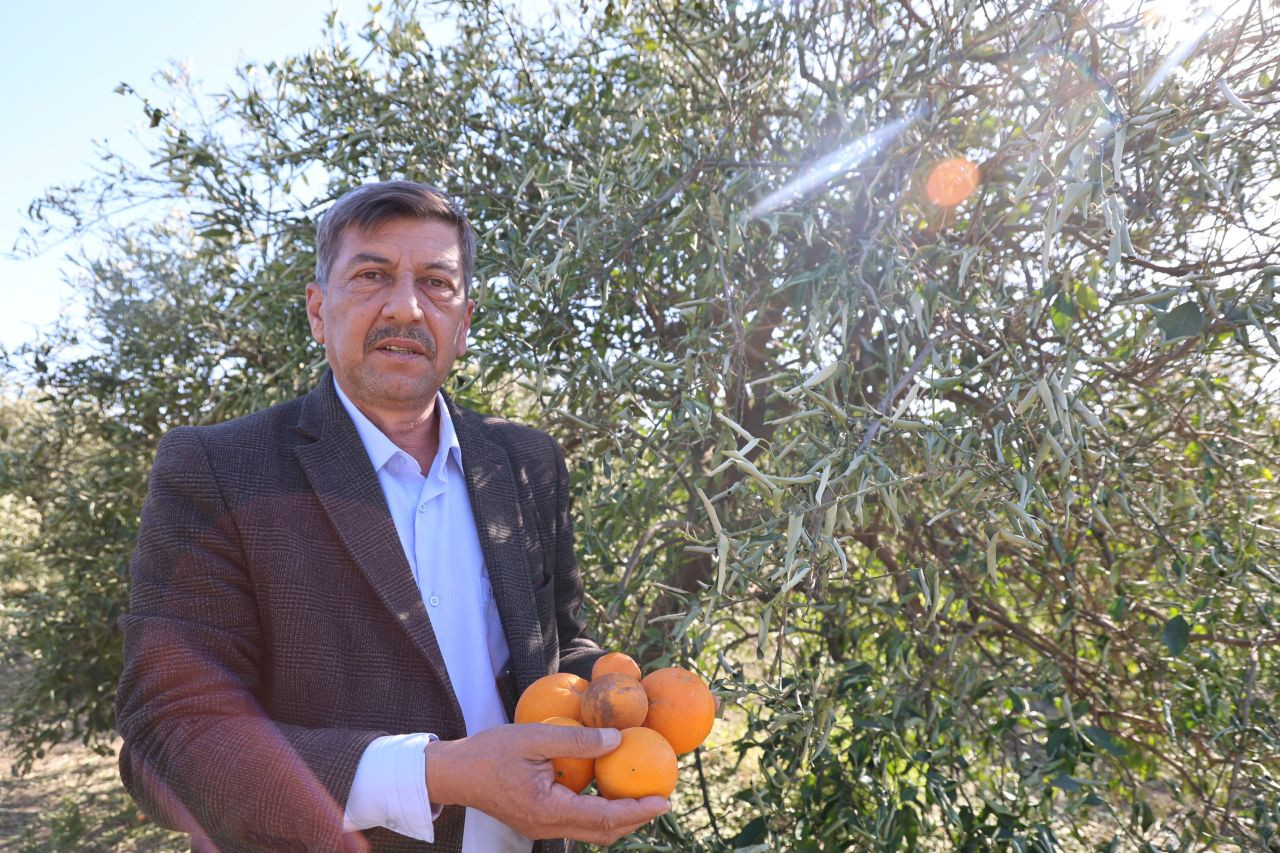 Zirai Donun İzleri Ortaya Çıkmaya Devam Ediyor - Sayfa 2