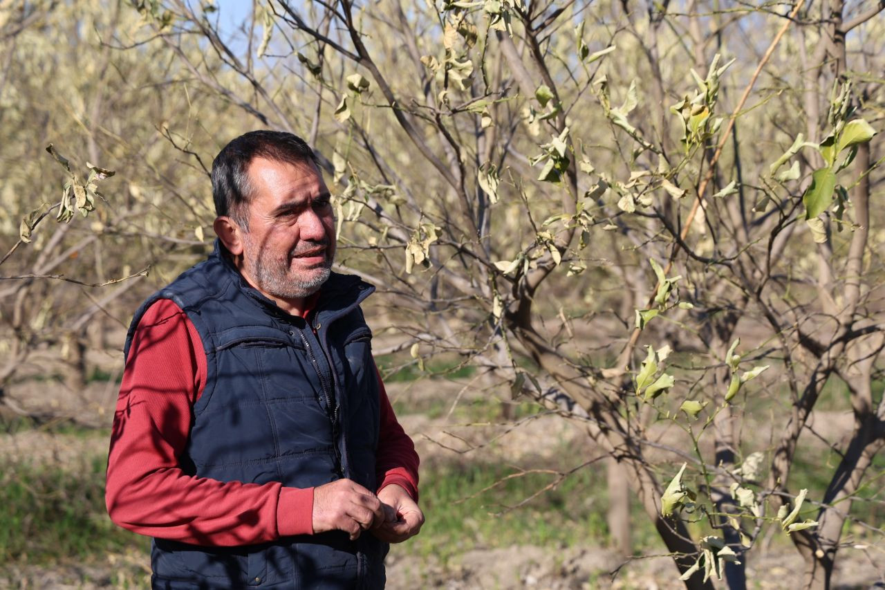 Zirai Donun İzleri Ortaya Çıkmaya Devam Ediyor - Sayfa 4