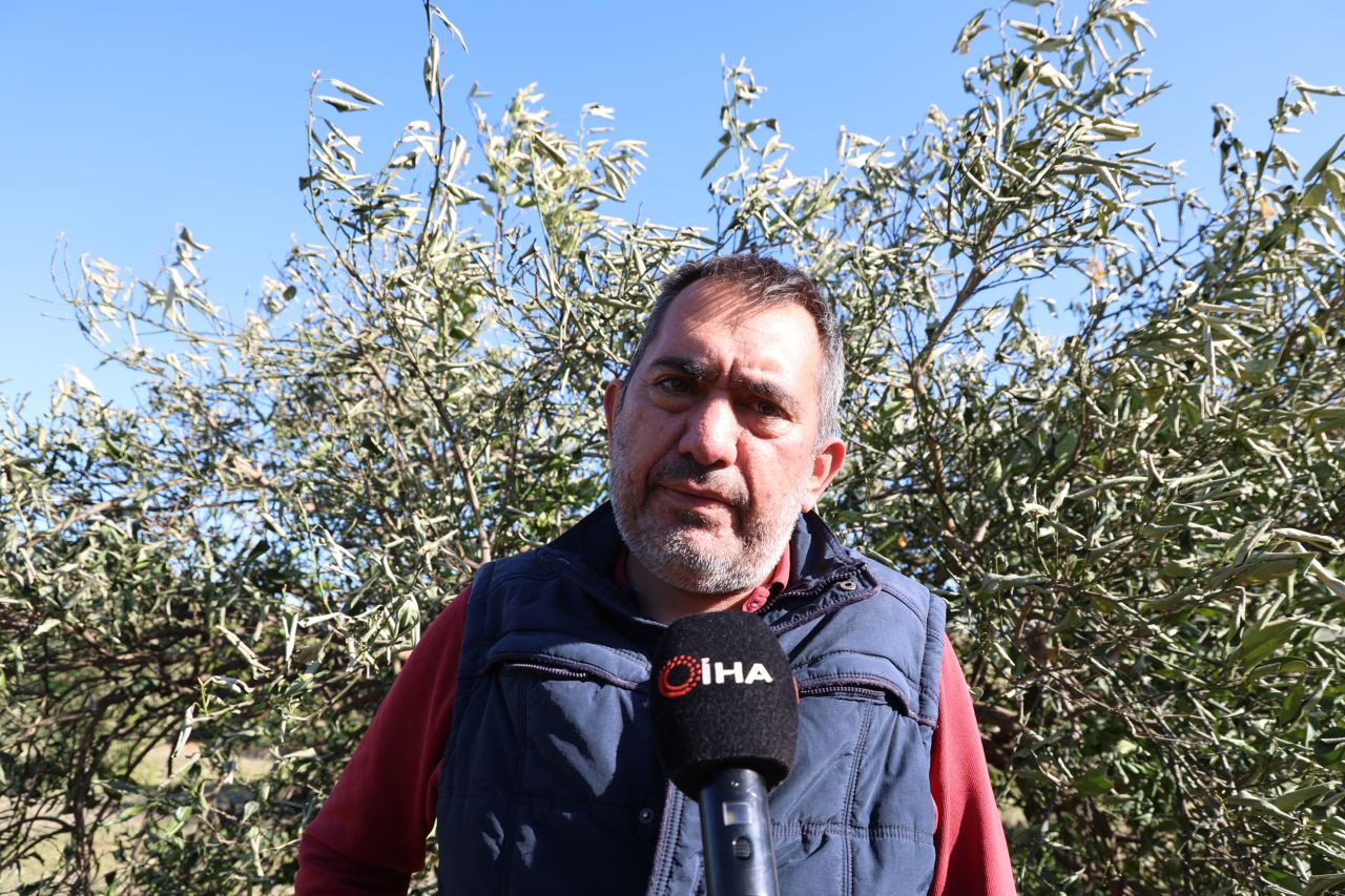 Zirai Donun İzleri Ortaya Çıkmaya Devam Ediyor - Sayfa 6