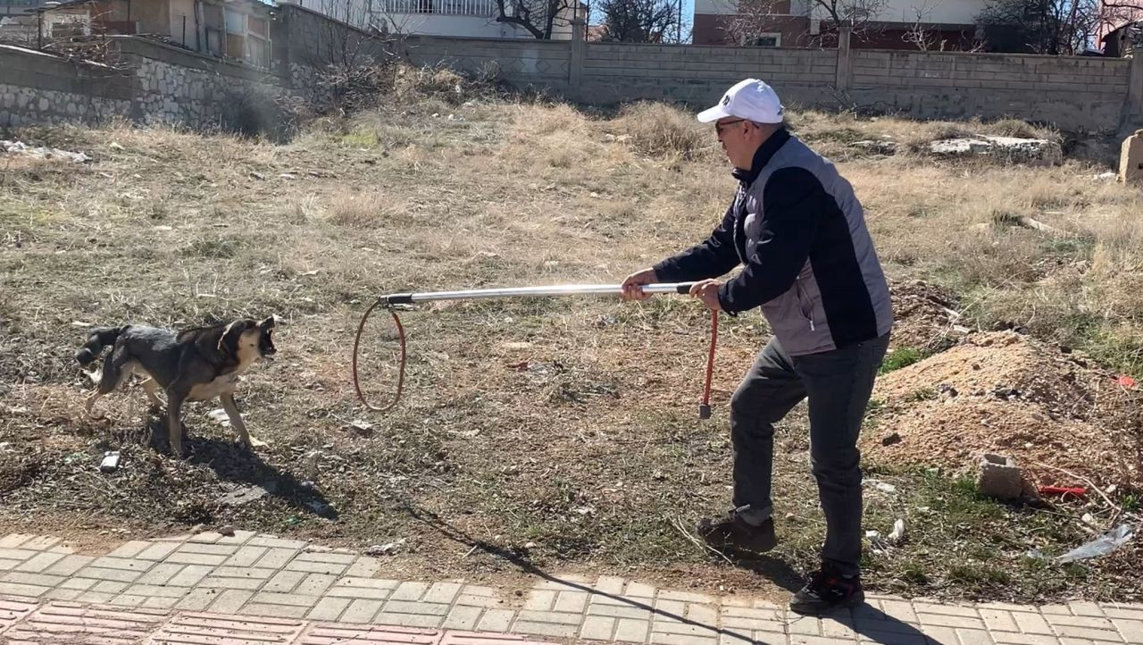 Köpek Saldırısından Oğlunu Kurtarmak İsteyen Baba Yaralandı - Sayfa 1