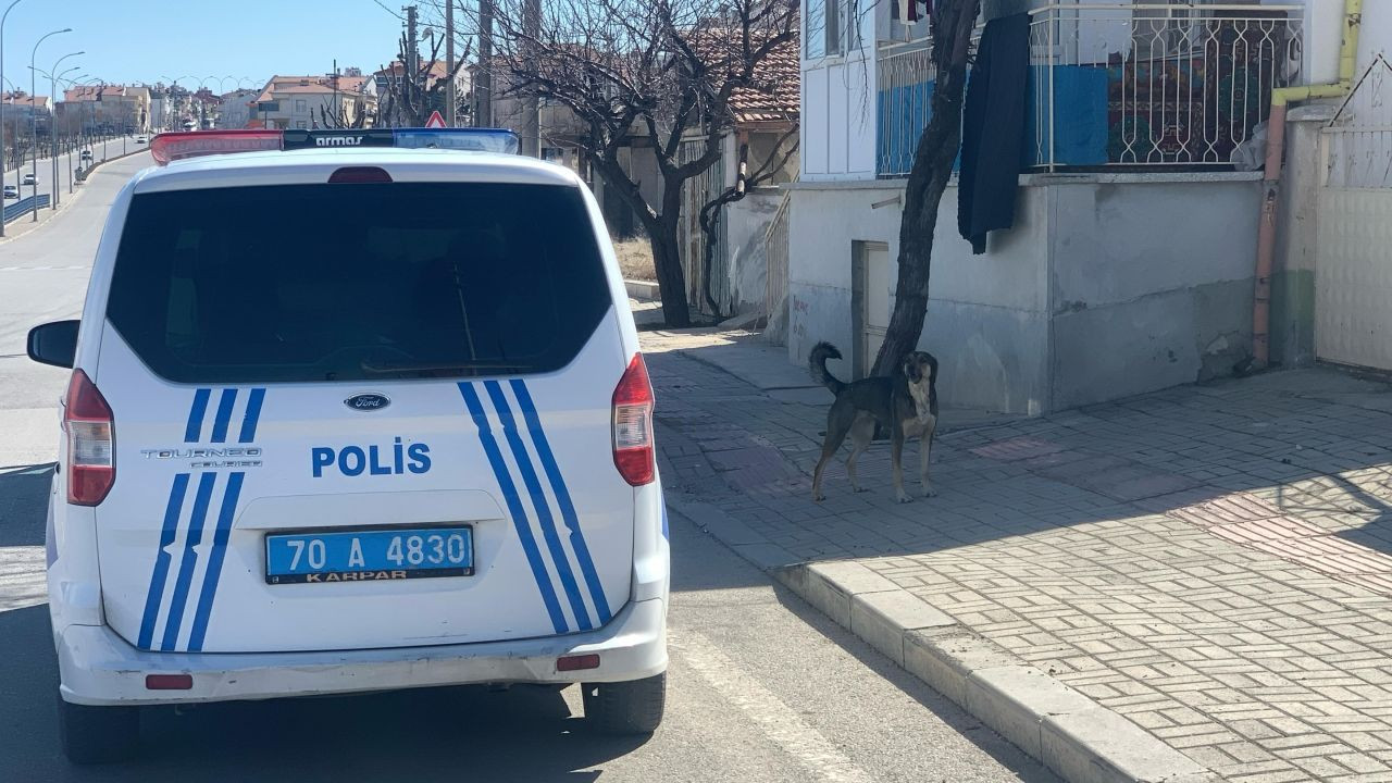 Köpek Saldırısından Oğlunu Kurtarmak İsteyen Baba Yaralandı - Sayfa 2
