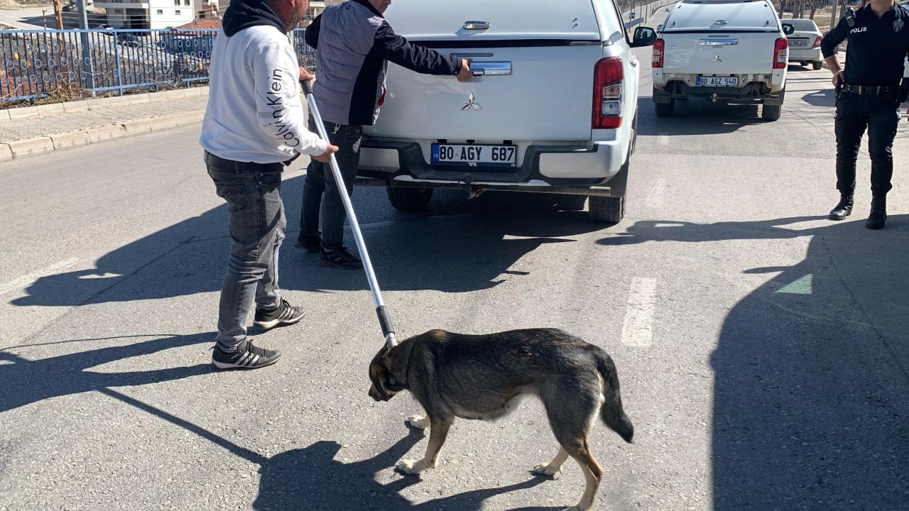 Köpek Saldırısından Oğlunu Kurtarmak İsteyen Baba Yaralandı - Sayfa 5
