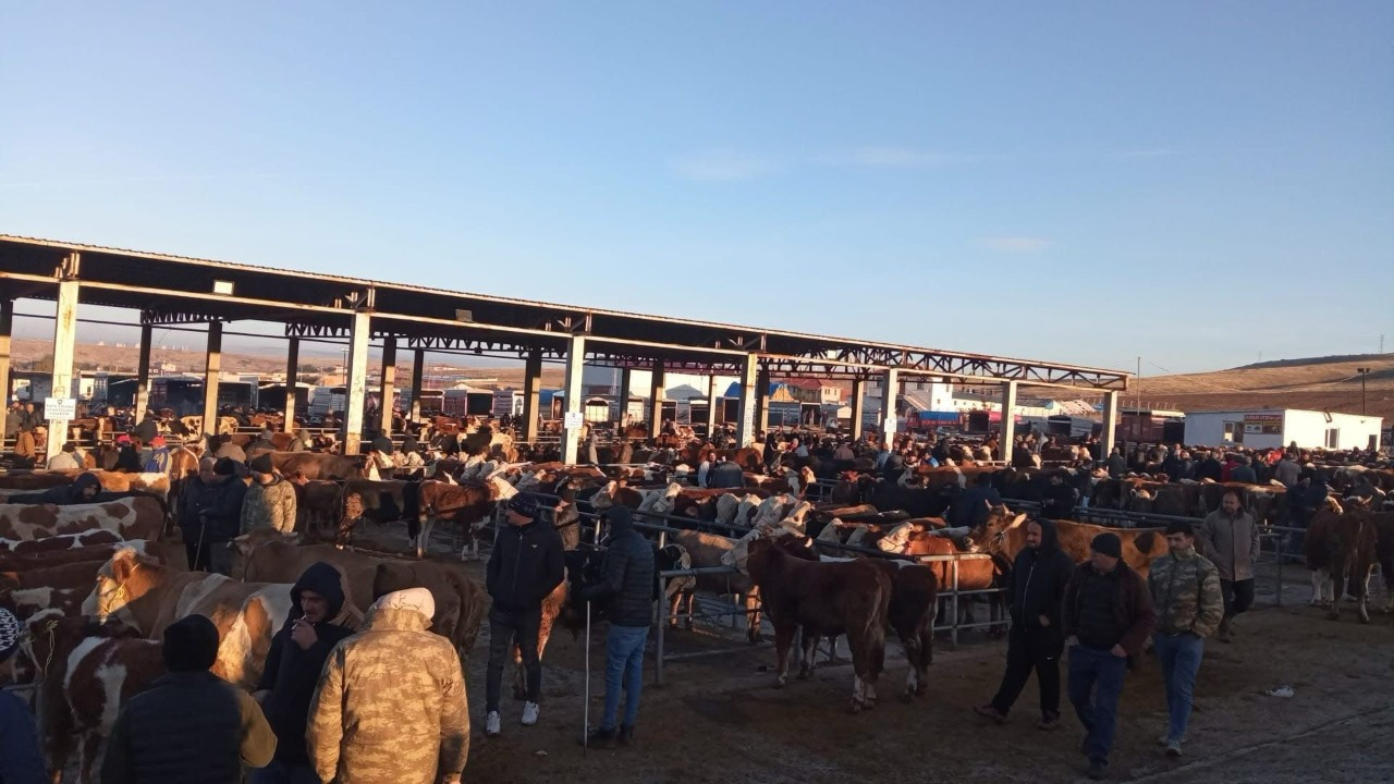 Yozgat’ta Geçici Olarak Kapatılan Hayvan Pazarları Yeniden Açıldı