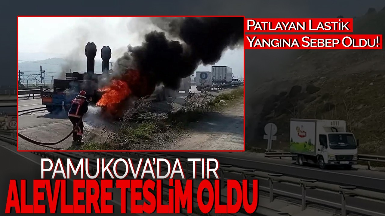 Pamukova'da Tır Alevlere Teslim Oldu! Patlayan Lastik Yangına Sebep Oldu!