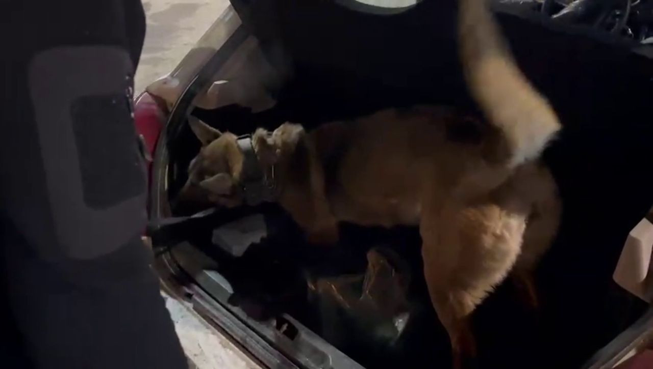 Erzurum’da Uyuşturucu Operasyonu! Hera Yine Tacirlere Geçit Vermedi - Sayfa 3