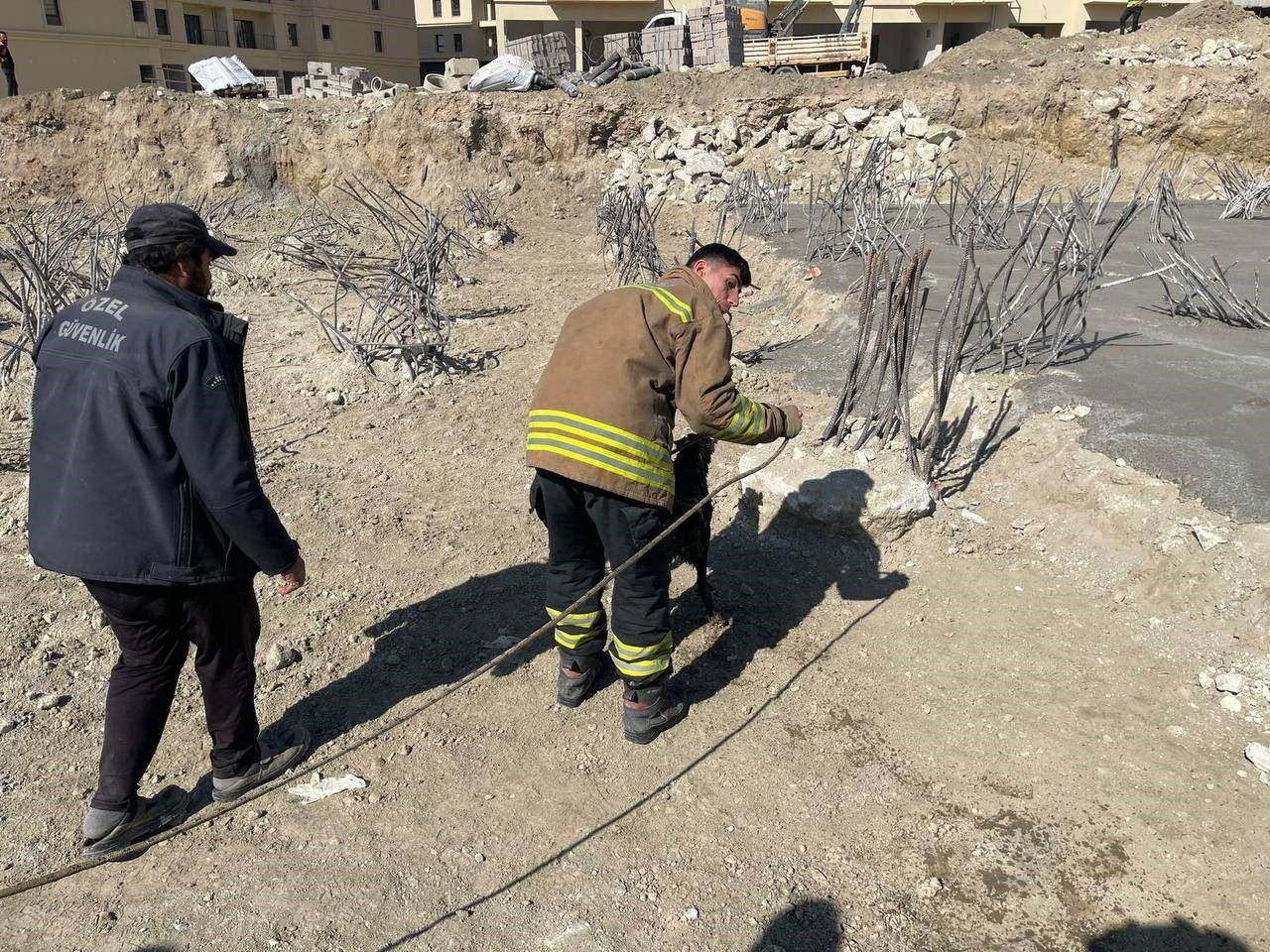 İnşaat Alanındaki 15 Metrelik Çukura Düşen Köpek Kurtarıldı - Sayfa 4