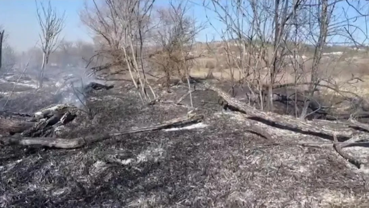 Kütahya Emet’te Ot Yangını! Ekipler Hızla Müdahale Etti