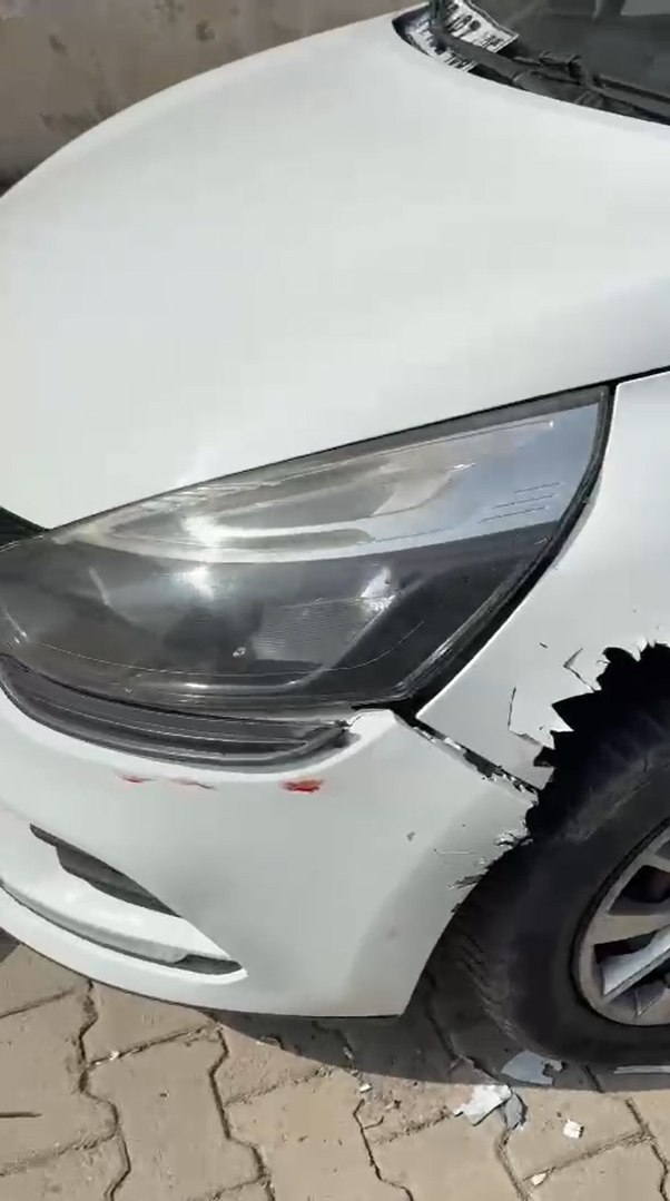 Yalova'da Sokak Köpekleri Park Halindeki Otomobilleri Paramparça Etti - Sayfa 6