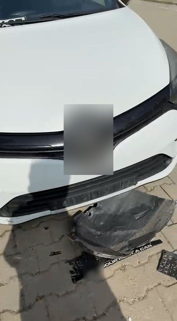 Yalova'da Sokak Köpekleri Park Halindeki Otomobilleri Paramparça Etti - Sayfa 8