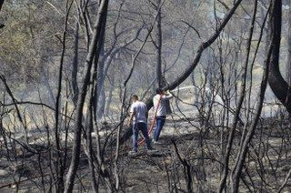 Mersin'de Orman Yangını: 1,5 Hektar Alan Zarar Gördü - Sayfa 3