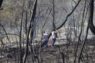 Mersin'de Orman Yangını: 1,5 Hektar Alan Zarar Gördü - Sayfa 4