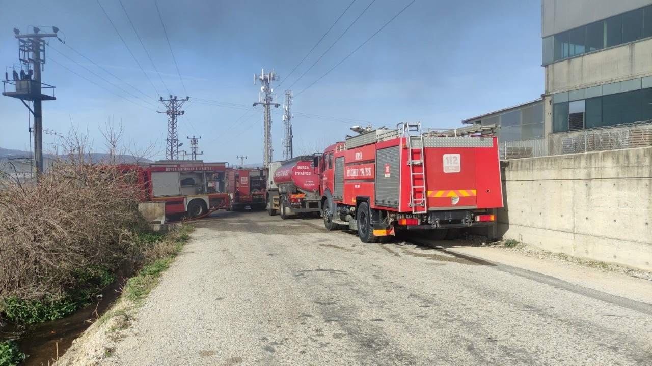 Bursa'da Gül Serasında Yangın: Paketleme Bölümü Kül Oldu