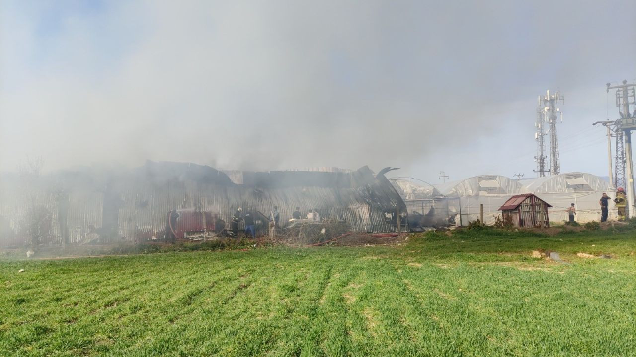 Bursa'da Gül Serasında Yangın: Paketleme Bölümü Kül Oldu - Sayfa 4