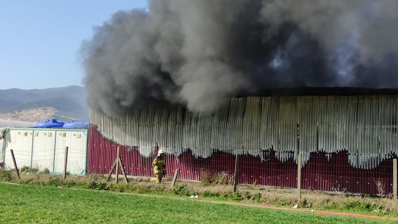 Bursa'da Gül Serasında Yangın: Paketleme Bölümü Kül Oldu - Sayfa 5
