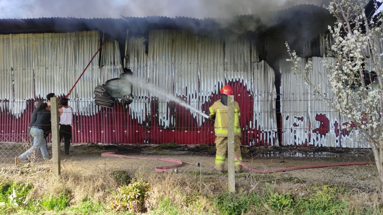 Bursa'da Gül Serasında Yangın: Paketleme Bölümü Kül Oldu - Sayfa 3