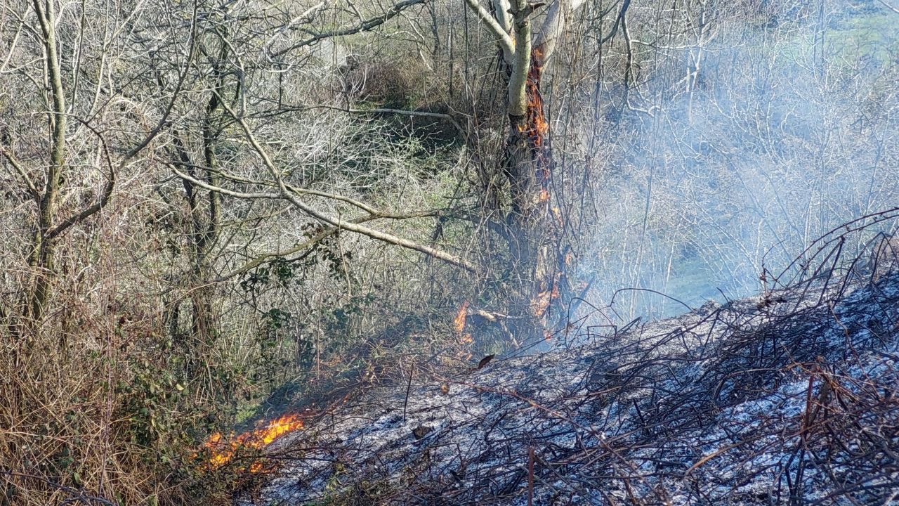 Samsun’da Çalılık Alanda Çıkan Yangın Hızla Söndürüldü - Sayfa 3