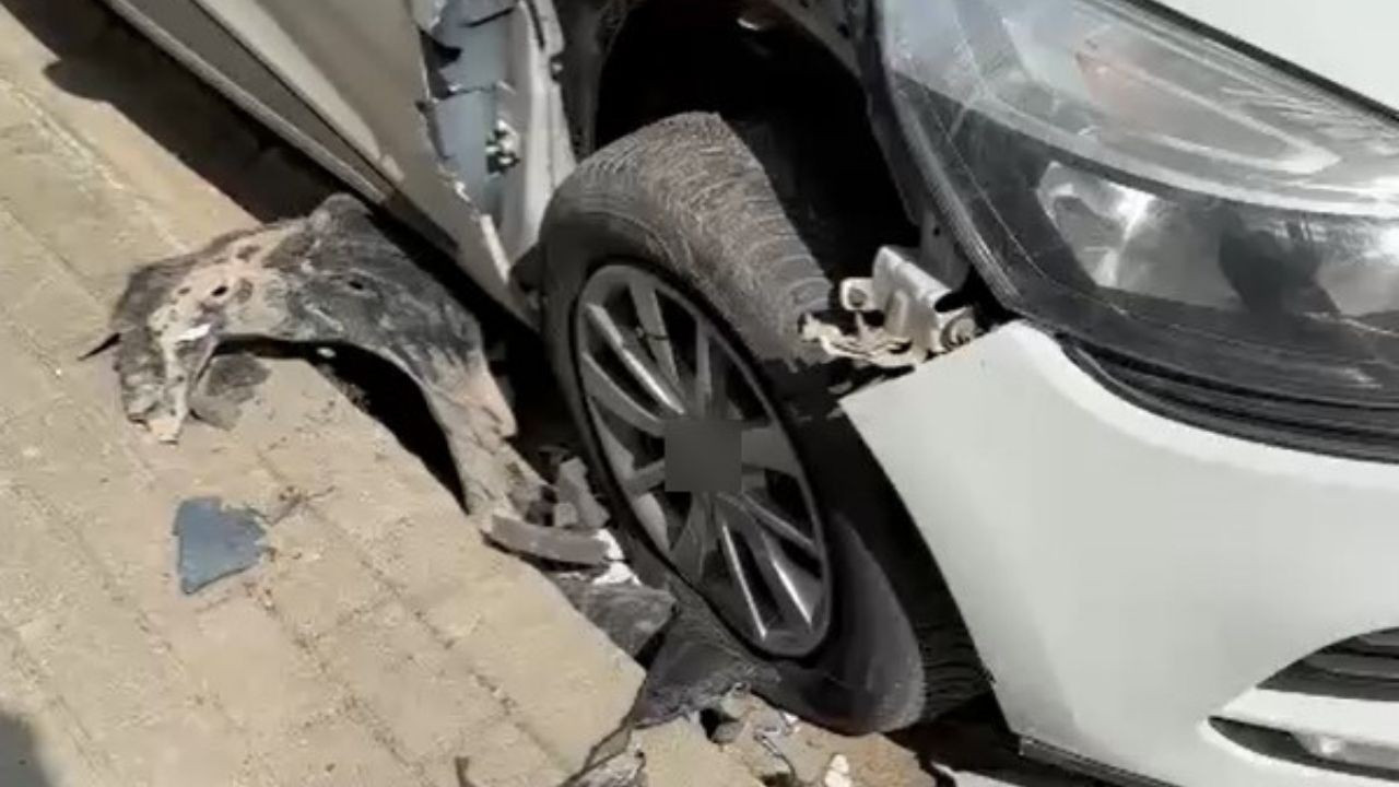 Yalova'da Sokak Köpekleri Park Halindeki Otomobilleri Paramparça Etti
