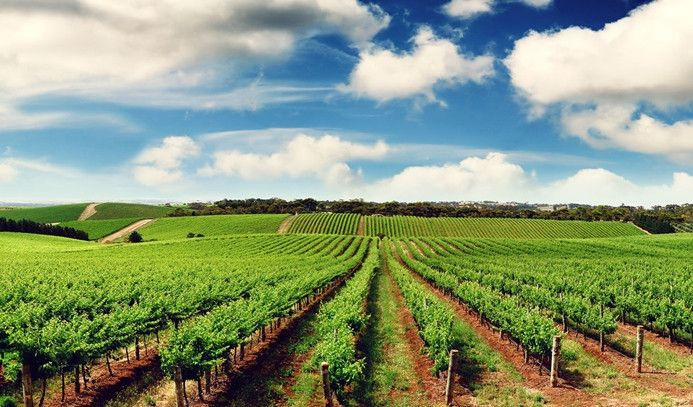 Tarım Sigortaları Destekleri Arttırıldı! TARSİM’in Devlet Destekli Prim Oranları Açıklandı - Sayfa 2