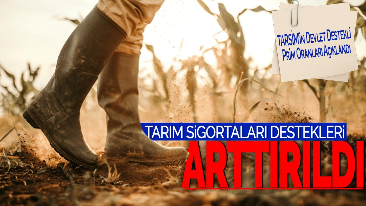 Tarım Sigortaları Destekleri Arttırıldı! TARSİM’in Devlet Destekli Prim Oranları Açıklandı