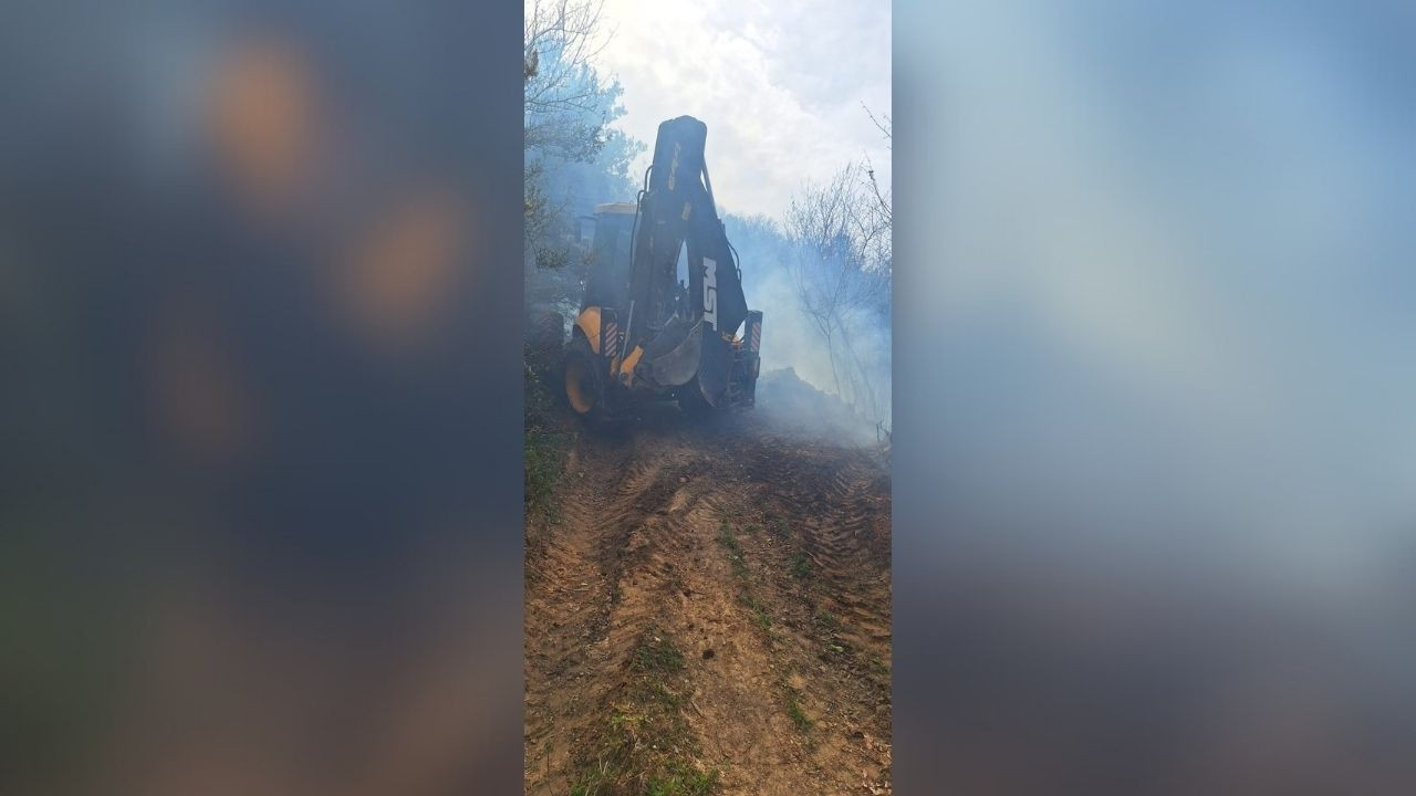 Yalova'da Orman Yangını