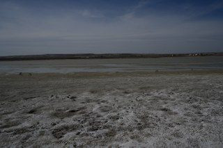 Ankara'da Konaklayan Flamingoların Yaşam Alanı Tehdit Altında - Sayfa 4