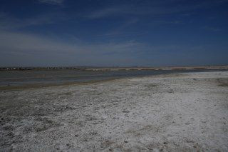 Ankara'da Konaklayan Flamingoların Yaşam Alanı Tehdit Altında - Sayfa 5