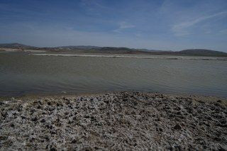 Ankara'da Konaklayan Flamingoların Yaşam Alanı Tehdit Altında - Sayfa 8