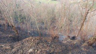 Temizlik Amacıyla Yakılan Ateş Ormanı Küle Çevirdi - Sayfa 2