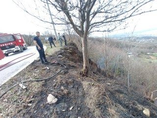 Temizlik Amacıyla Yakılan Ateş Ormanı Küle Çevirdi - Sayfa 5