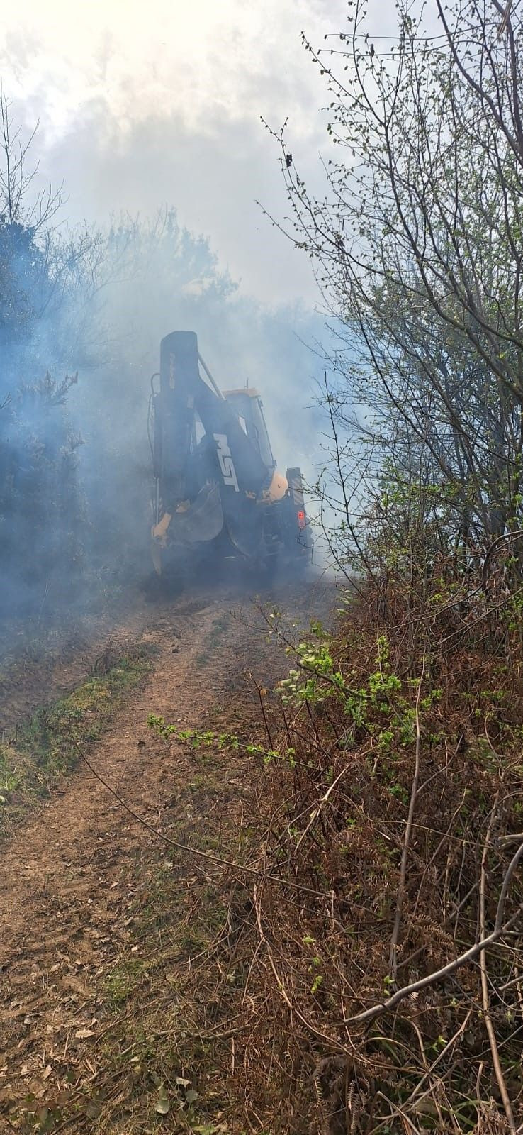 Yalova'da Orman Yangını - Sayfa 1