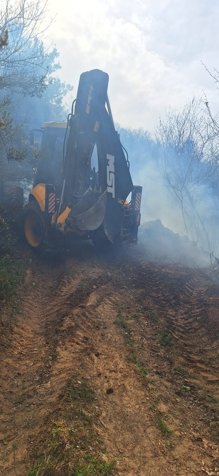 Yalova'da Orman Yangını - Sayfa 4