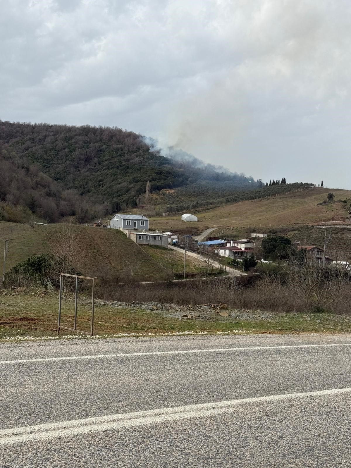 Yalova'da Orman Yangını - Sayfa 6