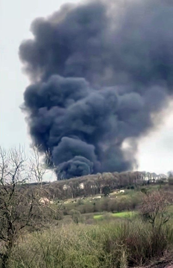 Sazlık Alanda Korkutan Yangın! Gökyüzü Kara Dumanla Kaplandı - Sayfa 1