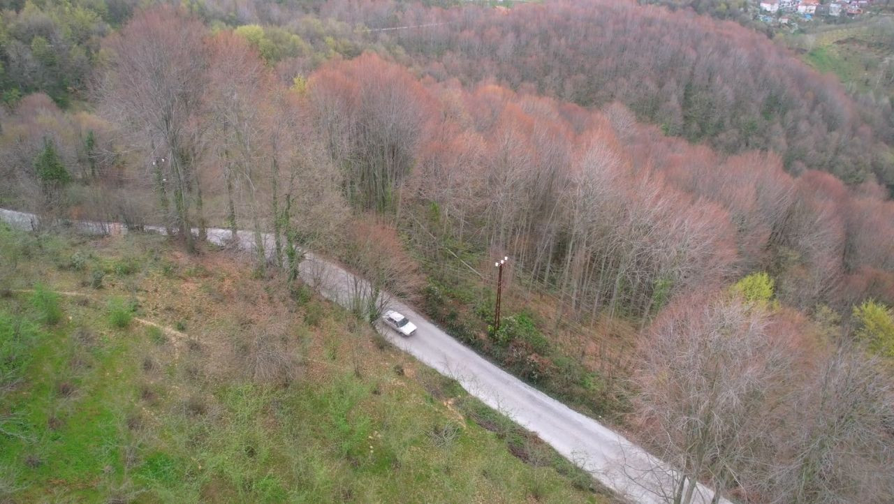 Zonguldak Ormanları İlkbaharın Renk Cümbüşüne Büründü - Sayfa 4