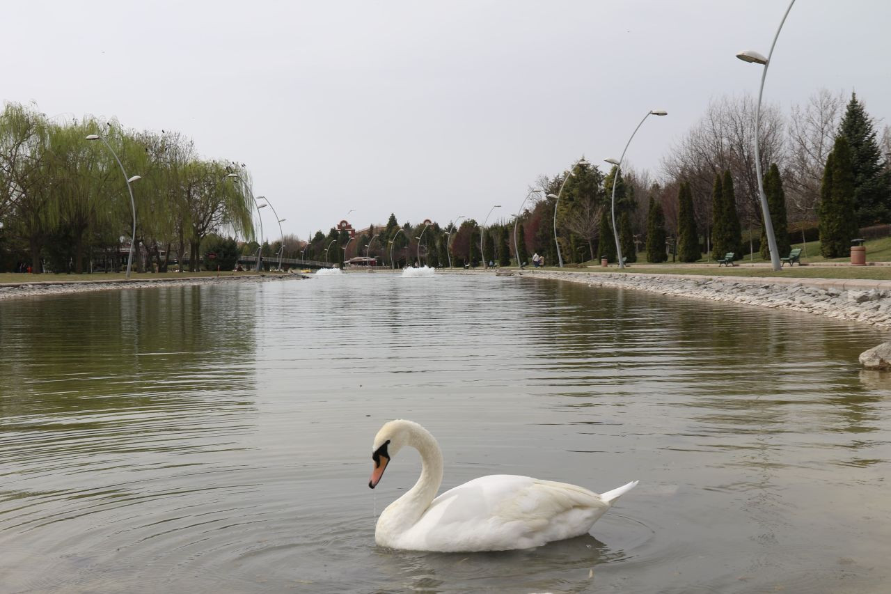 Eskişehirliler Bahar Havasının Tadını Çıkardı - Sayfa 2
