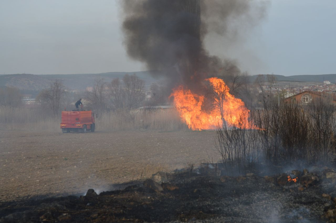 Tavşanlı’da Arazide Çıkan Yangın Bahçe Evlerine Ulaşmadan Söndürüldü - Sayfa 4
