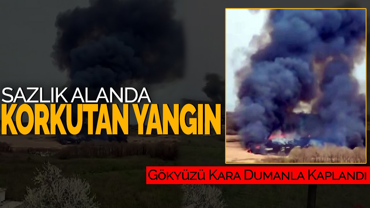 Sazlık Alanda Korkutan Yangın! Gökyüzü Kara Dumanla Kaplandı